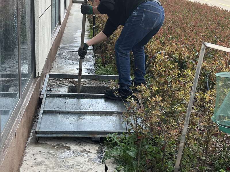 某某某小区公共区域日常保洁，保洁员清扫道路、广场，维持社区整洁环境。