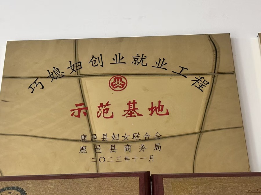 鹿邑美家获鹿邑县妇联商务局巧媳妇创业就业工程示范基地授牌
